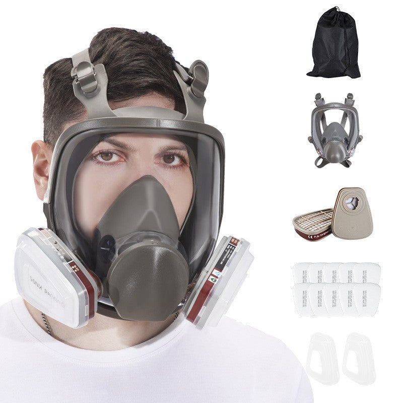 Full Face Industrial Gas Mask 6800