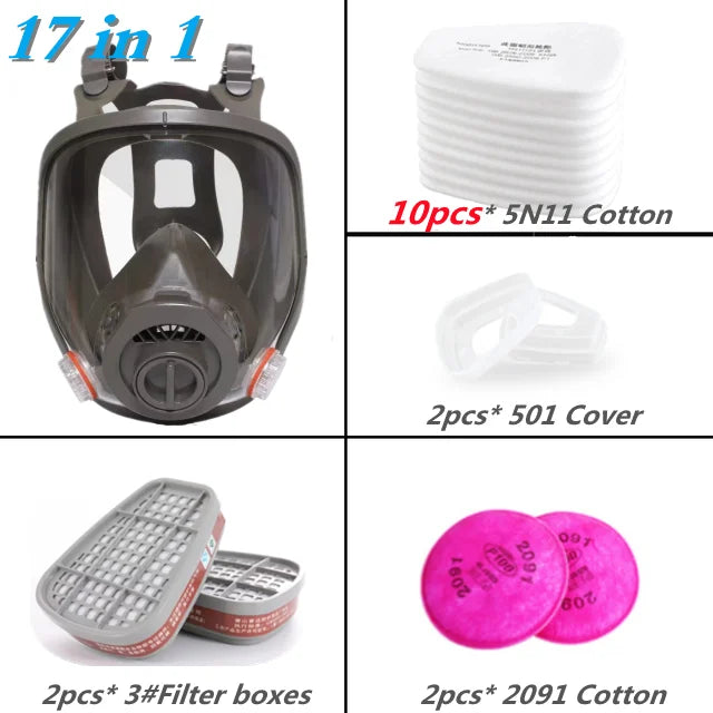 Full Face Industrial Gas Mask 6800